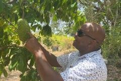 mikey-dunrod-st-kitts